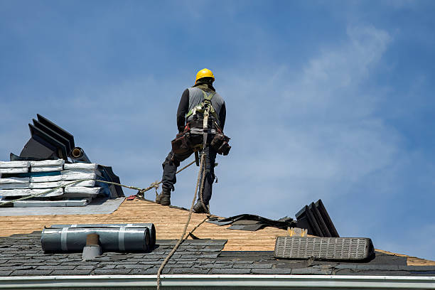 Professional Roof Replacement technician working in Verona, ND